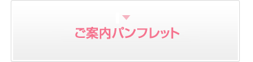 研修日程・ご案内パンフレット