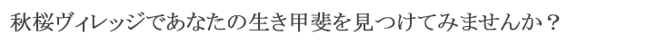 秋桜ヴィレッジであなたの生き甲斐を見つけてみませんか